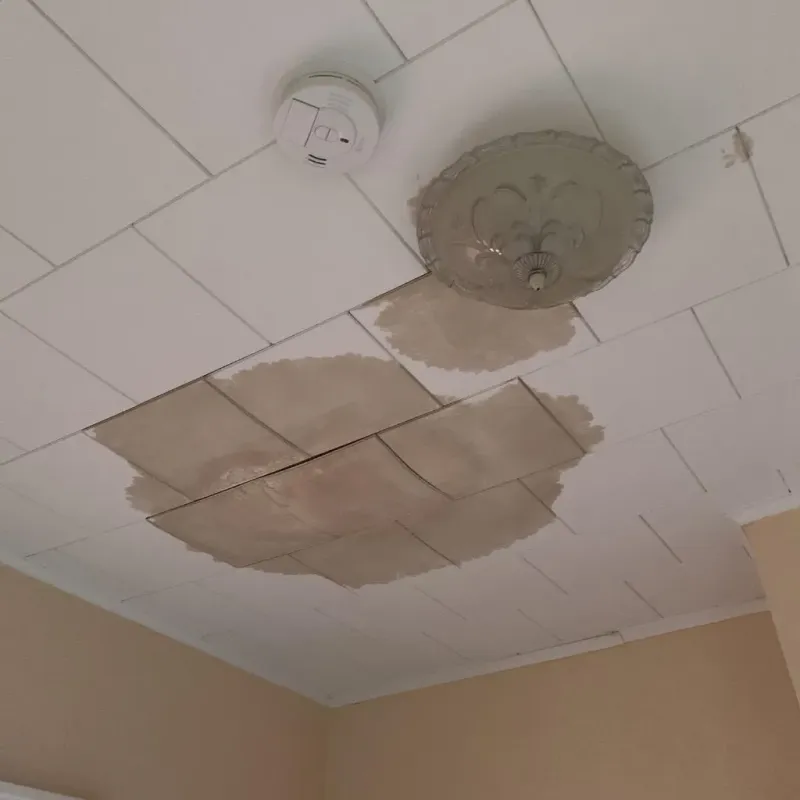 Ceiling Water Damage Repair in Nitro, WV