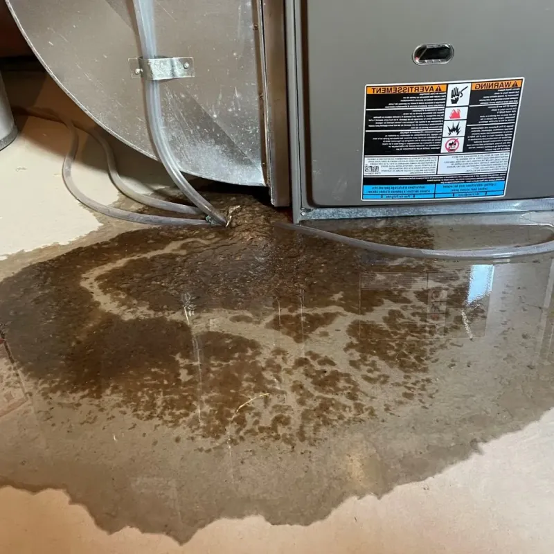 Pipe Burst and Leak Restoration in Nitro, WV
