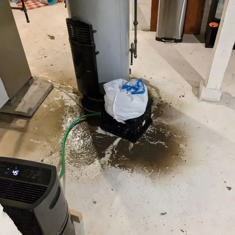 Sewage Backup Cleanup Service in Nitro, WV
